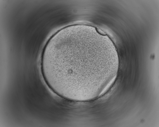X0000102341430200808291126