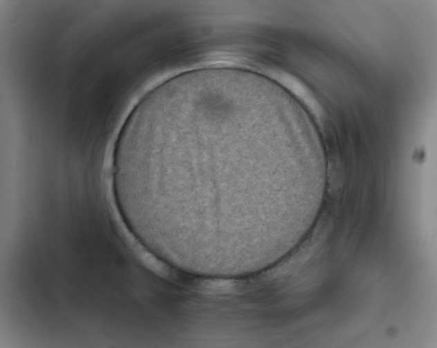 X0000102341431200808291126