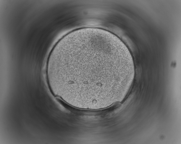 X0000102341432200808291126