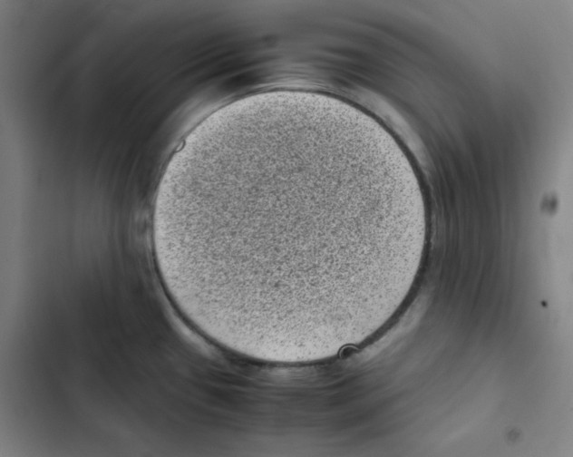 X0000102341433200808291127