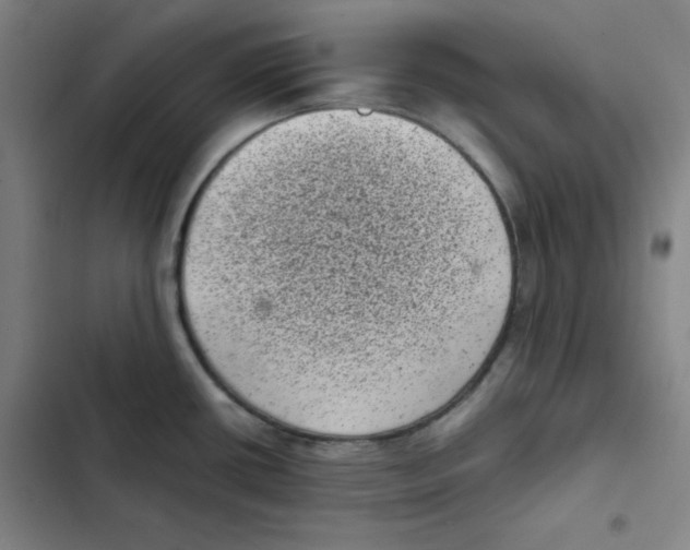 X0000102341434200808291127