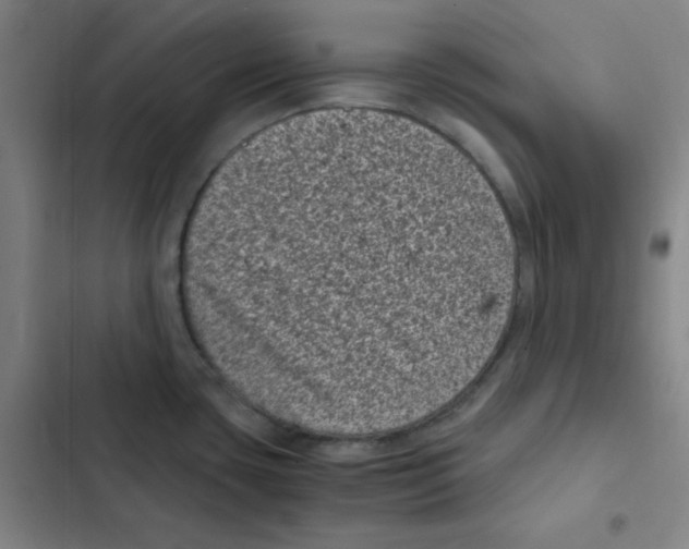 X0000102341435200808291127
