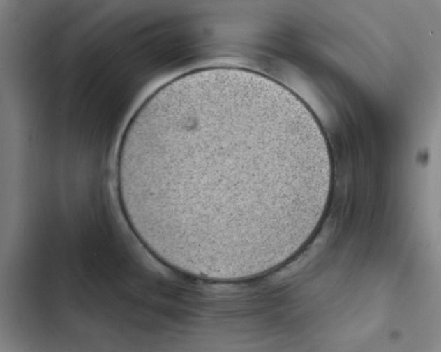 X0000102341436200808291127