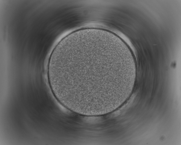 X0000102341437200808291127