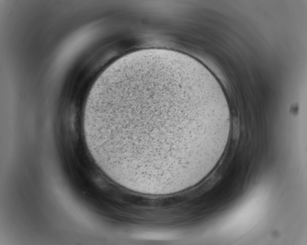 X0000102341438200808291127