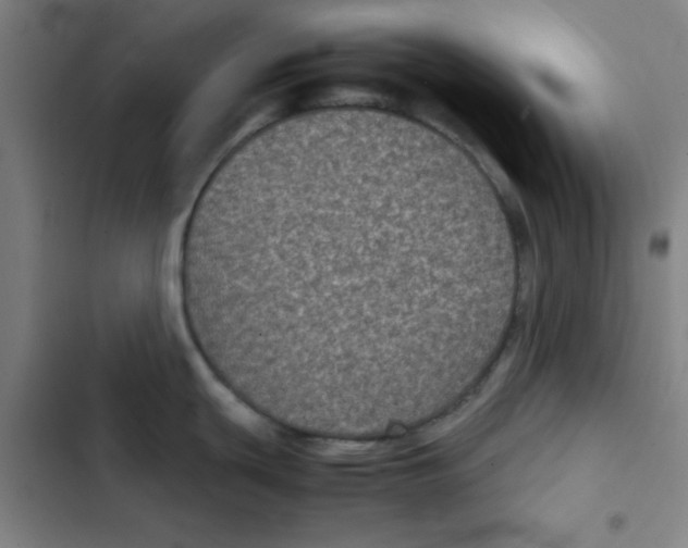 X0000102341439200808291127