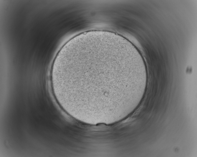 X0000102341440200808291127