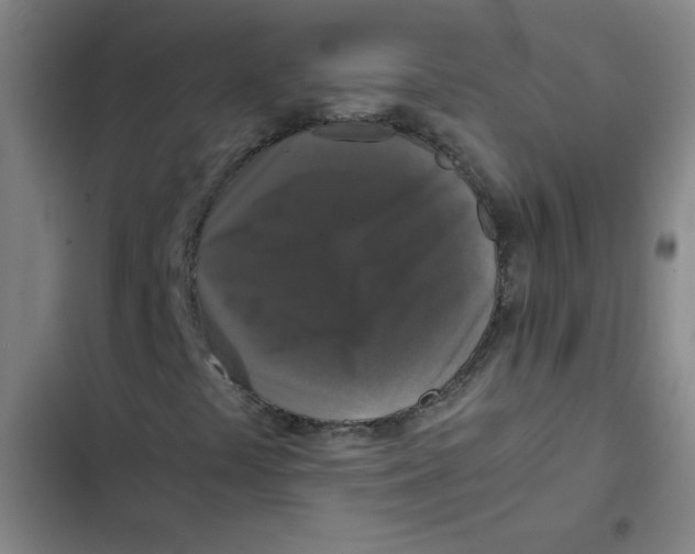 X0000102341441200808291126