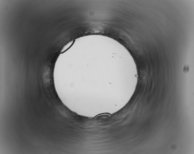 X0000102341442200808291126