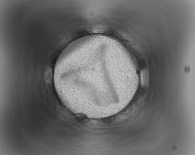 X0000102341443200808291126