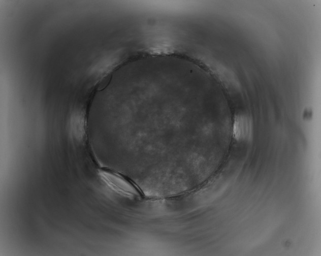 X0000102341444200808291126