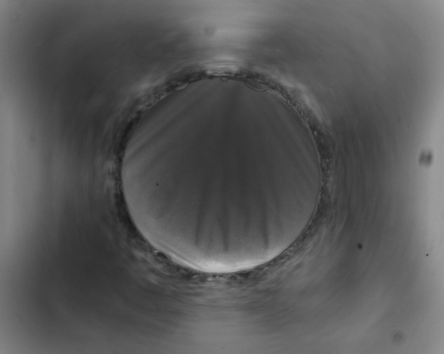 X0000102341445200808291126