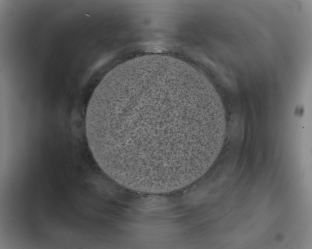 X0000102341446200808291126