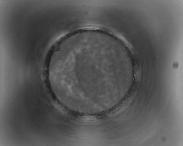 X0000102341448200808291126