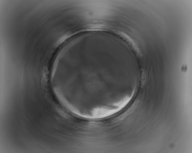 X0000102341449200808291126