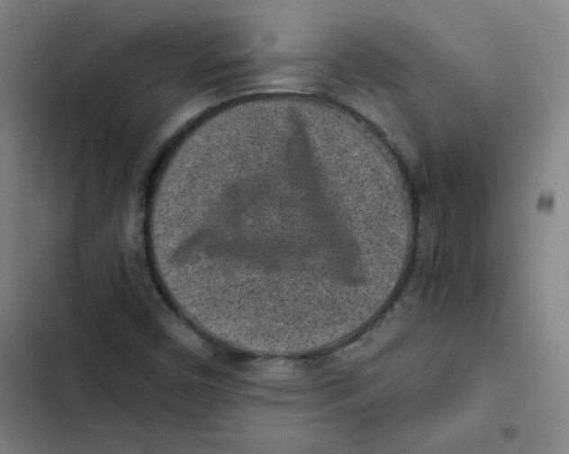 X0000102341450200808291126