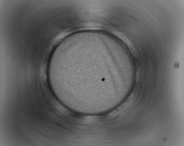 X0000102341451200808291126