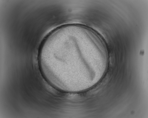 X0000102341452200808291126