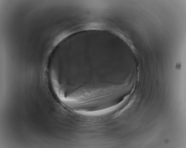 X0000102341453200808291126