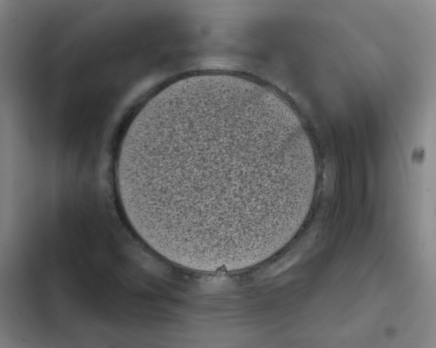 X0000102341454200808291126