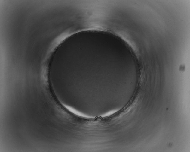 X0000102341455200808291126