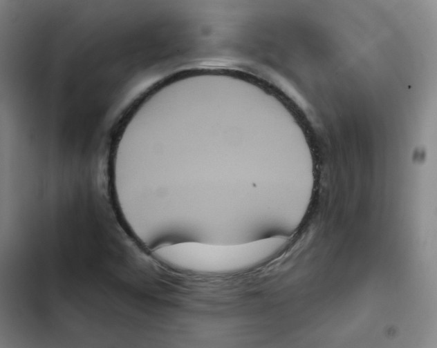 X0000102341456200808291126
