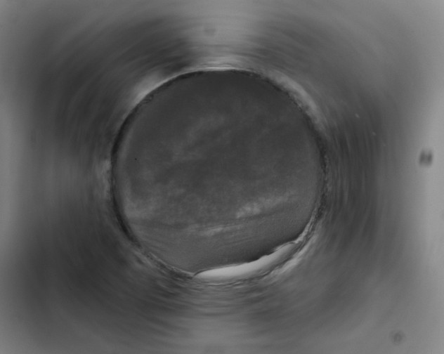 X0000102341457200808291126