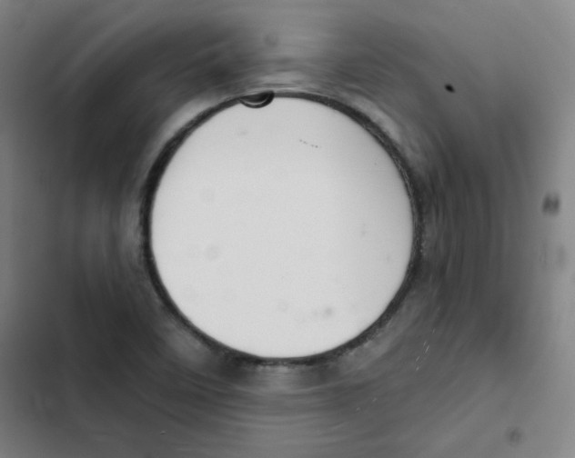 X0000102341458200808291126