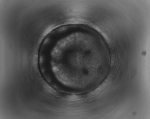 X0000102341459200808291126