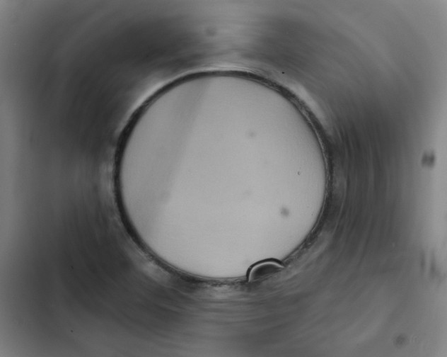 X0000102341460200808291126