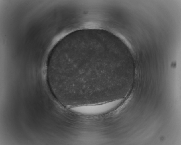 X0000102341461200808291126