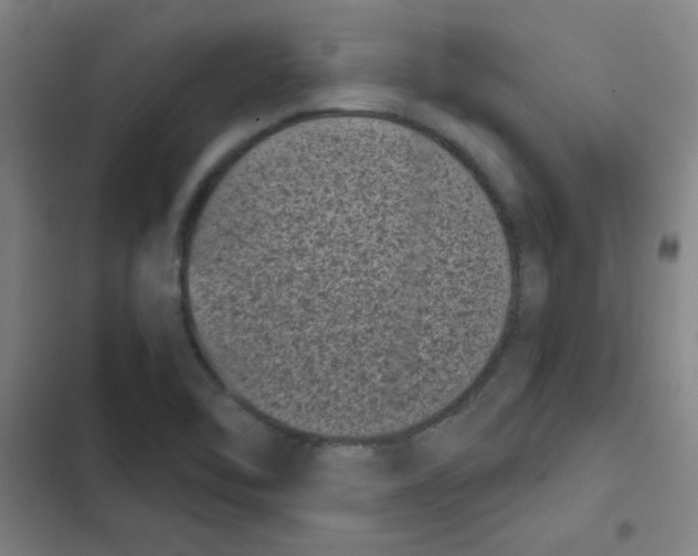 X0000102341462200808291126