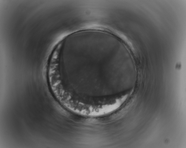 X0000102341463200808291126