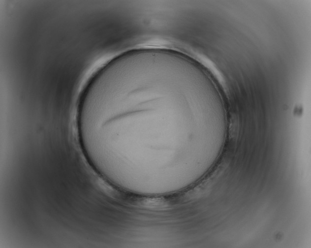 X0000102341464200808291126