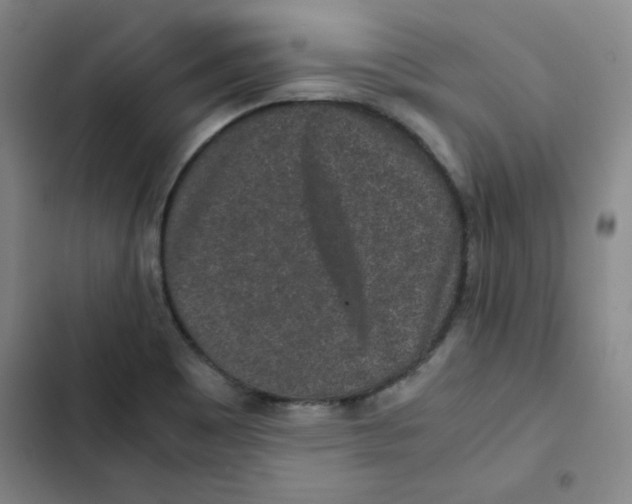 X0000102341465200808291126