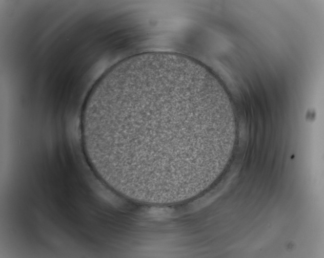 X0000102341466200808291126