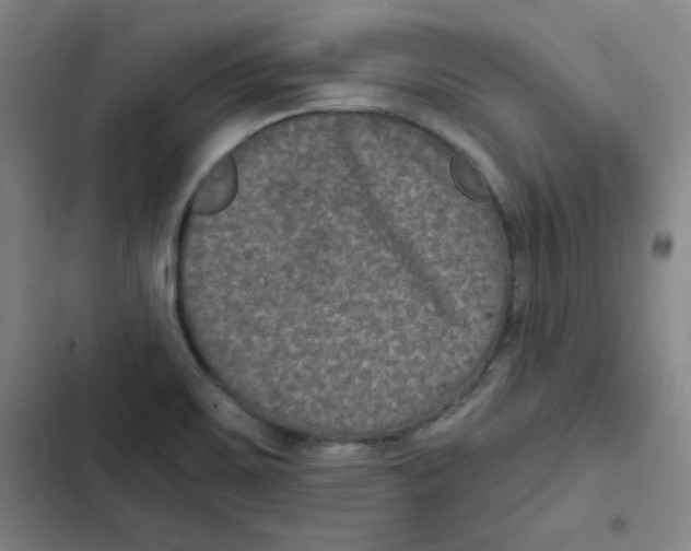 X0000102341467200808291126