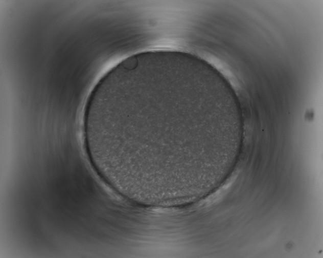 X0000102341469200808291126