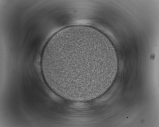 X0000102341470200808291126