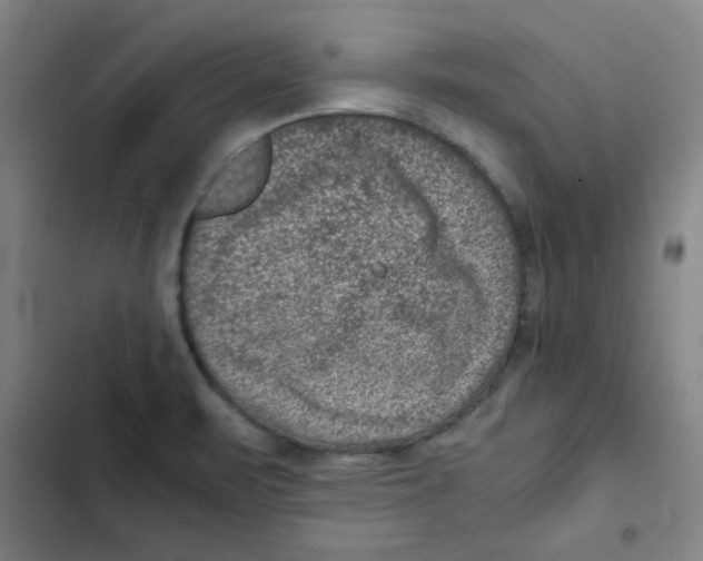 X0000102341471200808291126