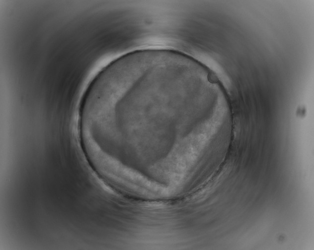X0000102341472200808291126