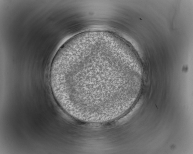 X0000102341473200808291126
