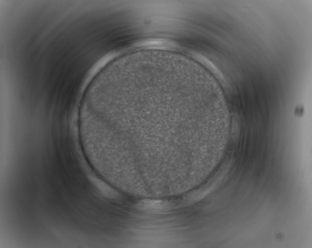 X0000102341474200808291125