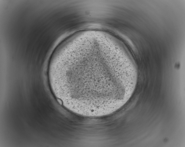 X0000102341475200808291125