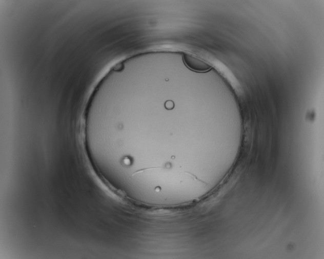 X0000102341476200808291125