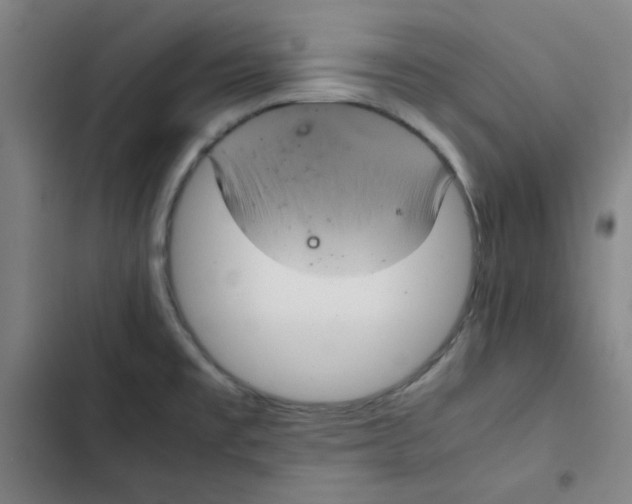 X0000102341477200808291125