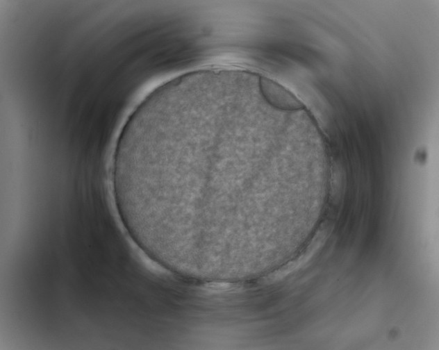 X0000102341478200808291125