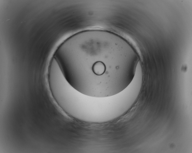 X0000102341480200808291125