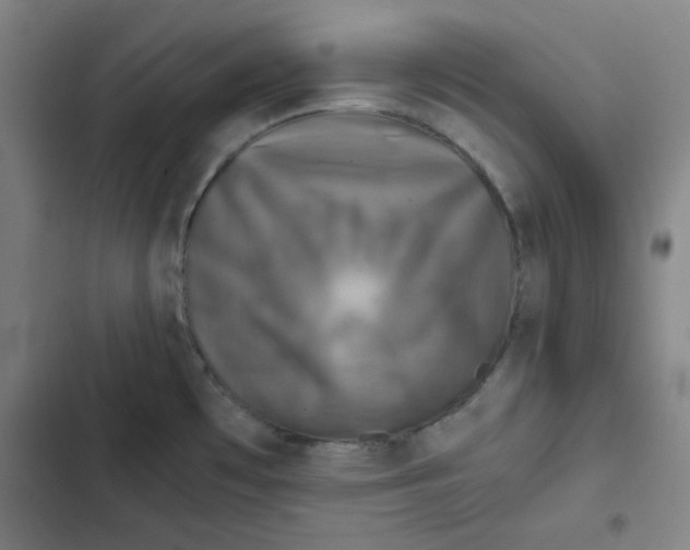 X0000102341481200808291125