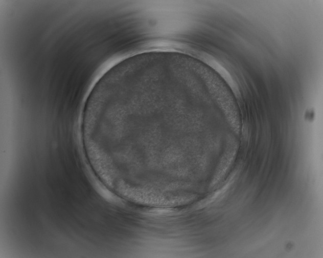 X0000102341482200808291125